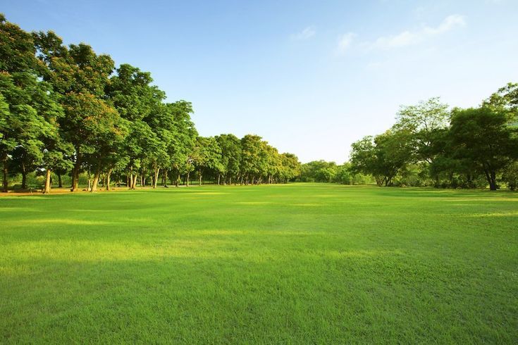A tranquil escape amidst nature’s beauty.
