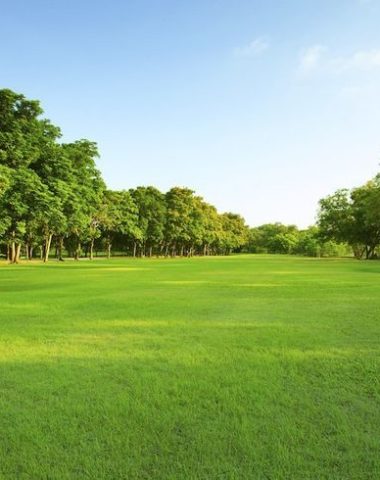 A tranquil escape amidst nature’s beauty.